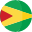 圭亚那的旗帜